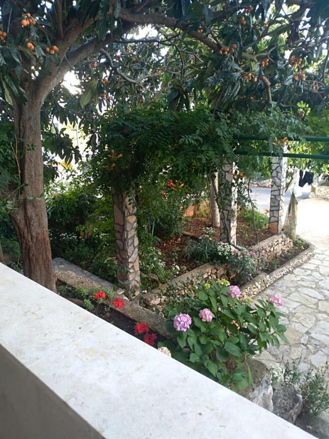 Apartmani Zmiric Primošten Exterior foto